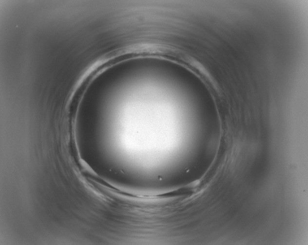 X0000083041075200702021146