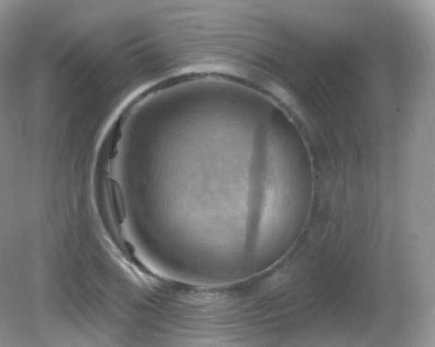 X0000083041076200702021146