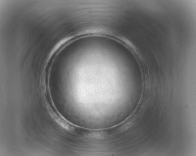 X0000083041078200702021146