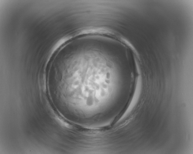 X0000083041079200702021146