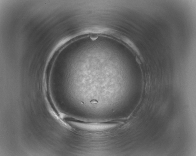 X0000083041080200702021146