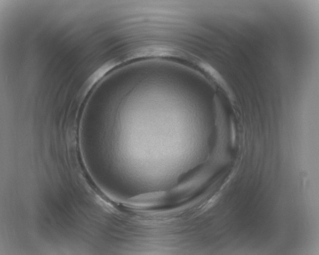 X0000083041081200702021146