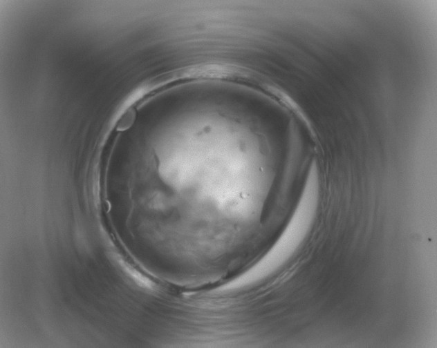 X0000083041083200702021145