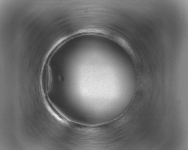 X0000083041084200702021145