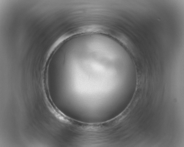 X0000083041086200702021145