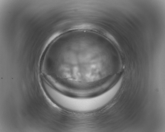 X0000083041087200702021145