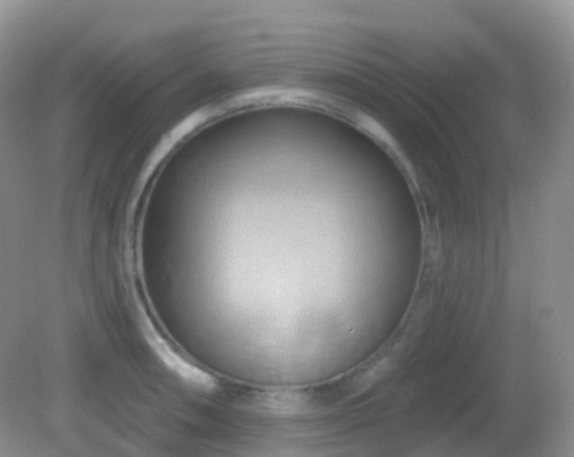 X0000083041090200702021145