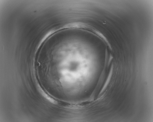 X0000083041091200702021145