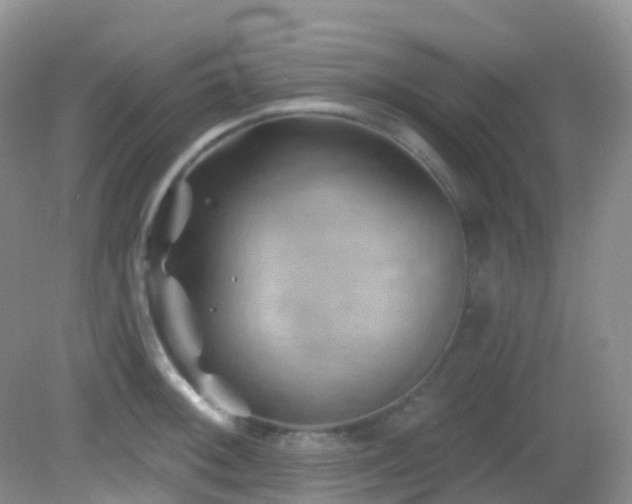 X0000083041092200702021145