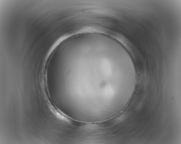 X0000083041094200702021145