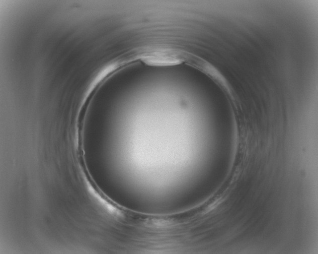 X0000083041095200702021145