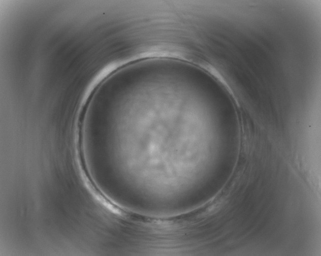 X0000083041096200702021145