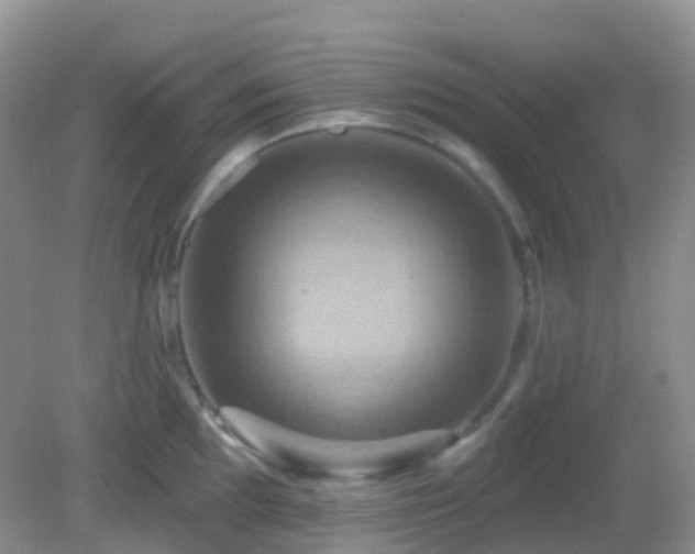 X0000083041097200702021145