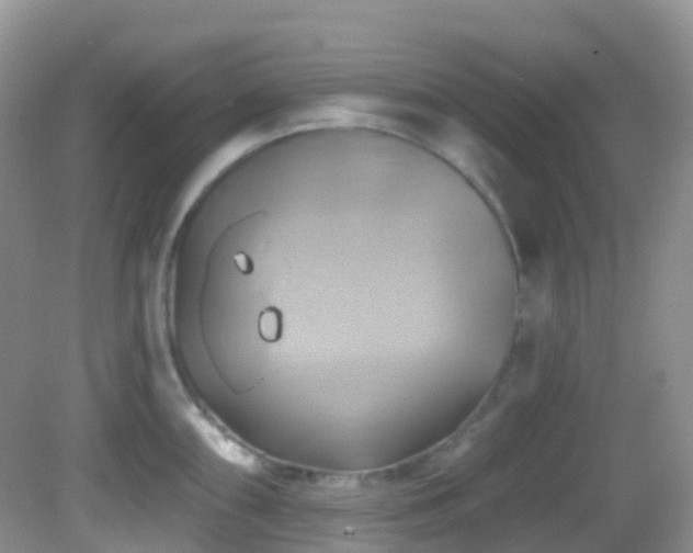 X0000083041098200702021145