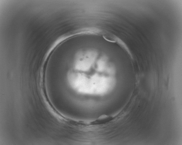 X0000083041099200702021145