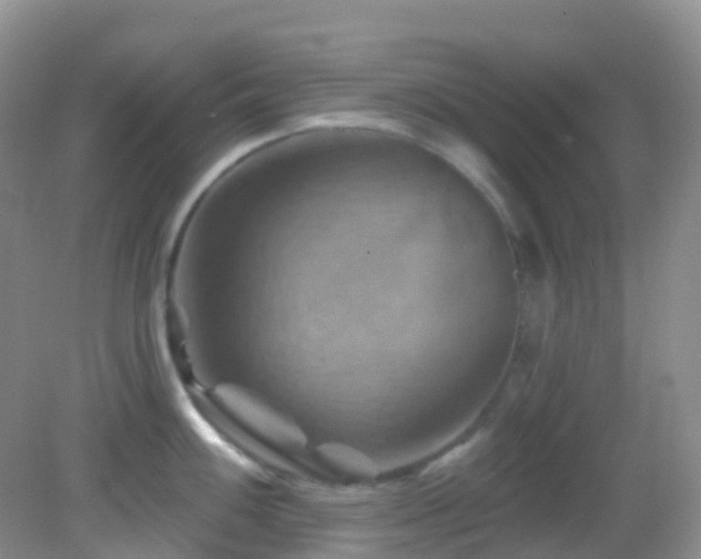 X0000083041100200702021145