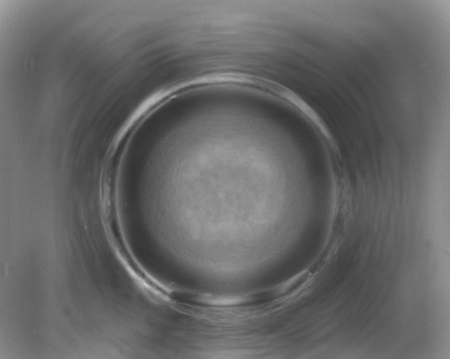 X0000083041101200702021145