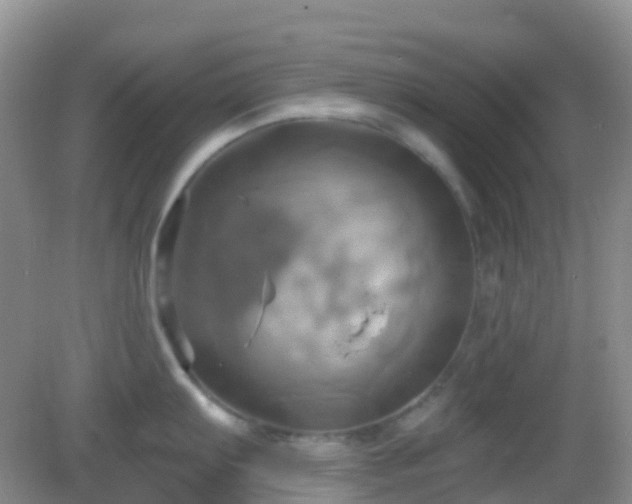 X0000083041103200702021145