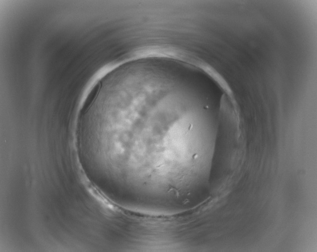 X0000083041104200702021145