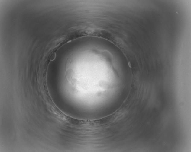 X0000083041105200702021144