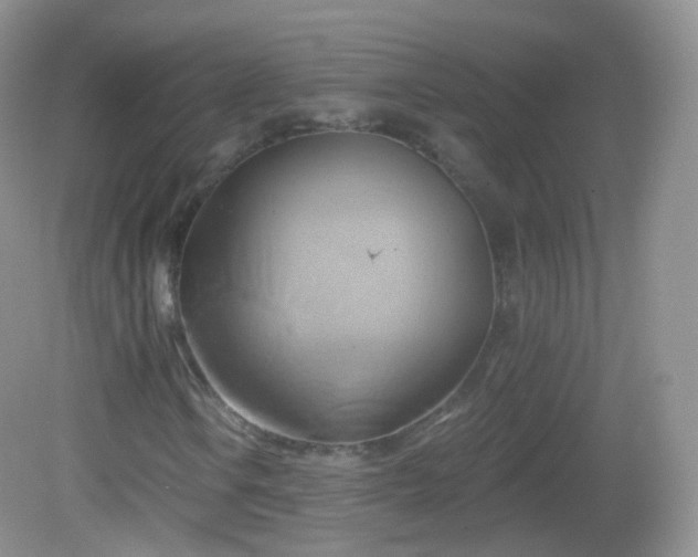 X0000083041106200702021144