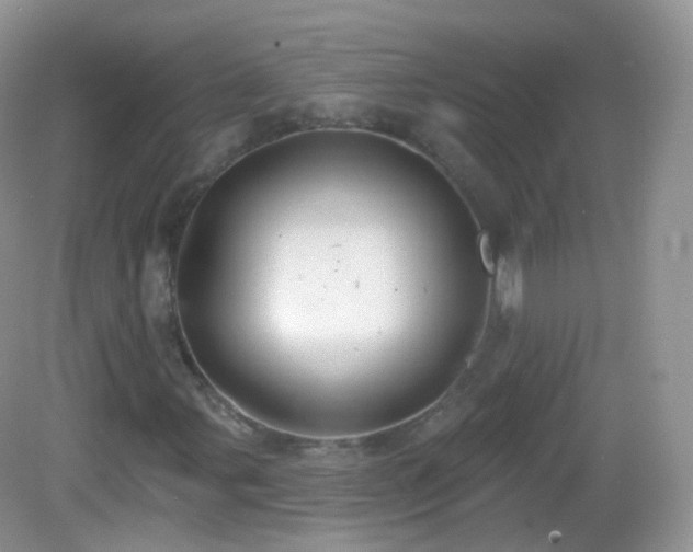 X0000083041107200702021144