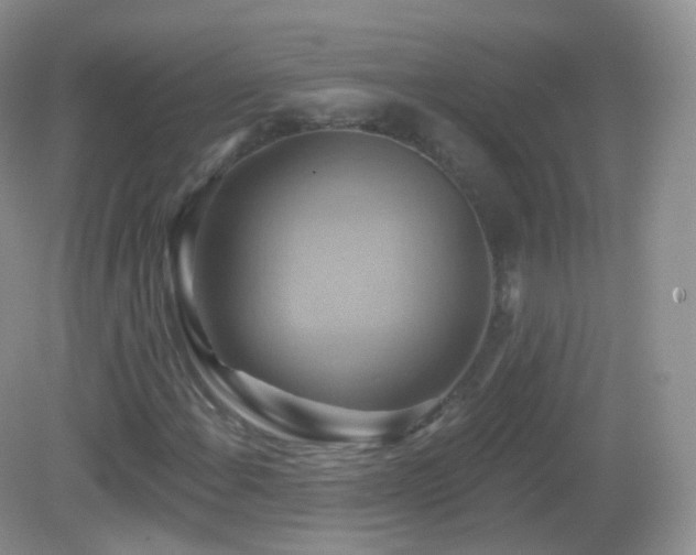 X0000083041108200702021144