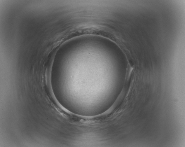 X0000083041109200702021144