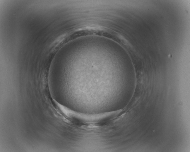 X0000083041110200702021144