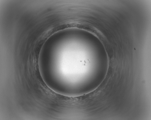 X0000083041111200702021144