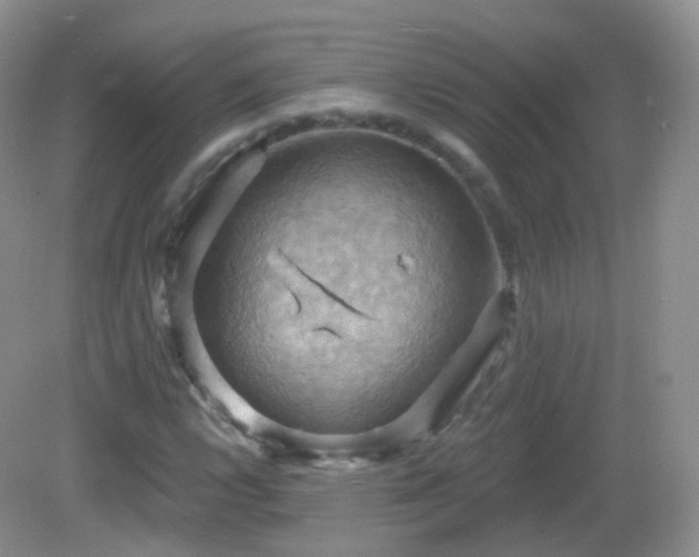 X0000083041112200702021144