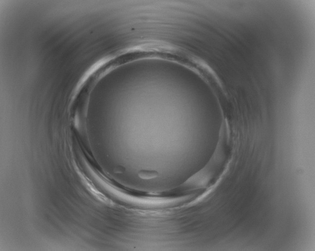 X0000083041114200702021144