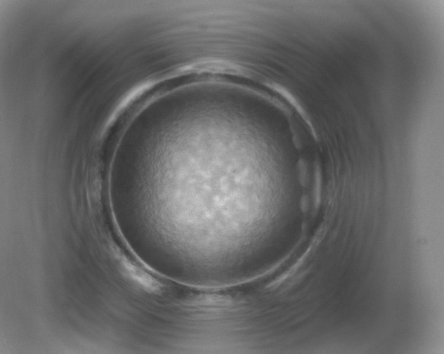 X0000083041115200702021144