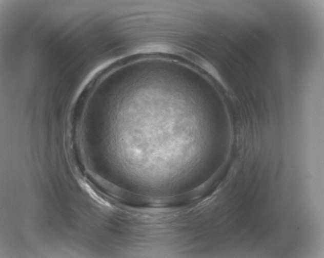 X0000083041116200702021145