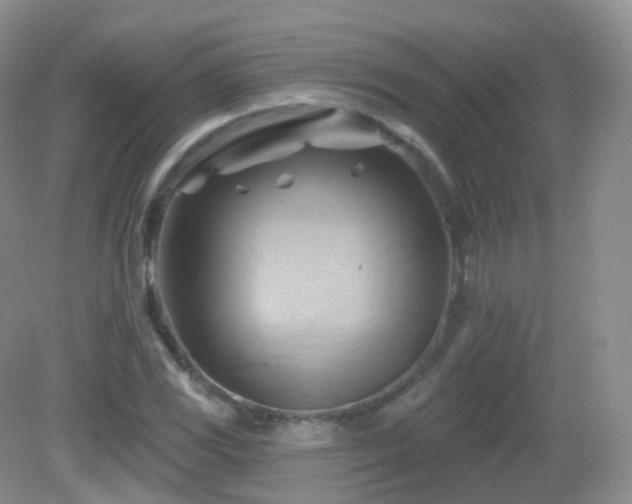 X0000083041117200702021145