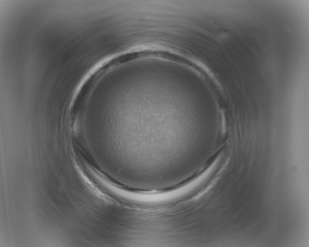 X0000083041118200702021145