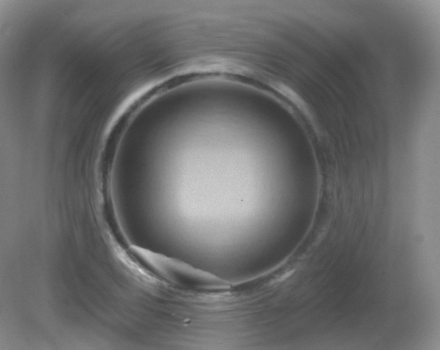 X0000083041120200702021145