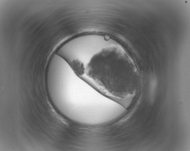 X0000083041121200702021145