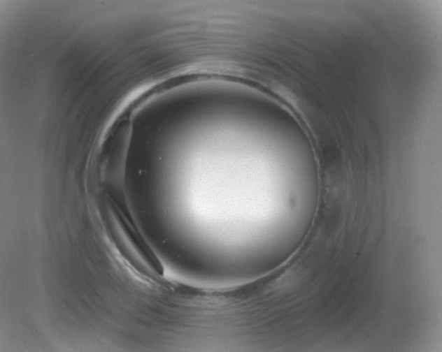 X0000083041123200702021145