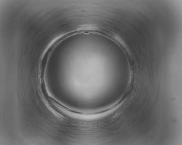 X0000083041124200702021145