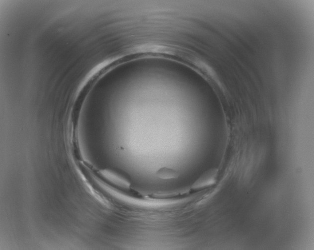 X0000083041125200702021145