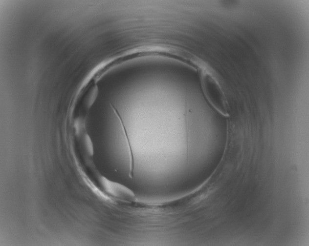 X0000083041127200702021145