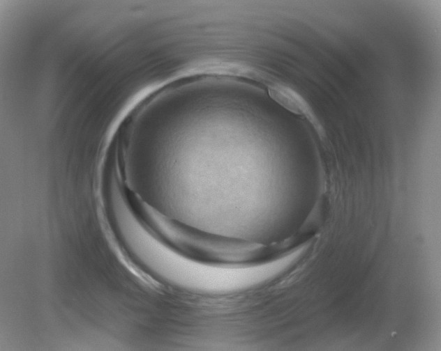 X0000083041128200702021145