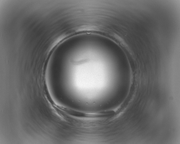 X0000083041129200702021145