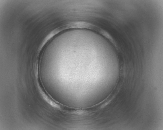 X0000083041130200702021145