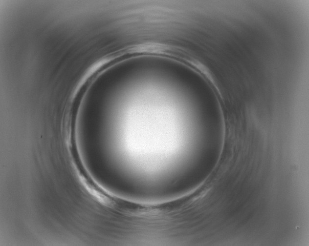 X0000083041131200702021145