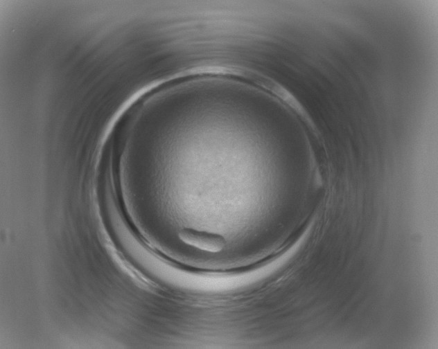 X0000083041132200702021145