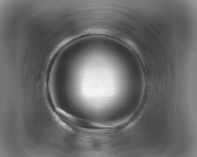 X0000083041133200702021145