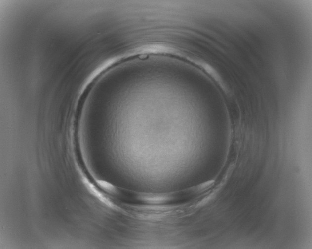 X0000083041134200702021145