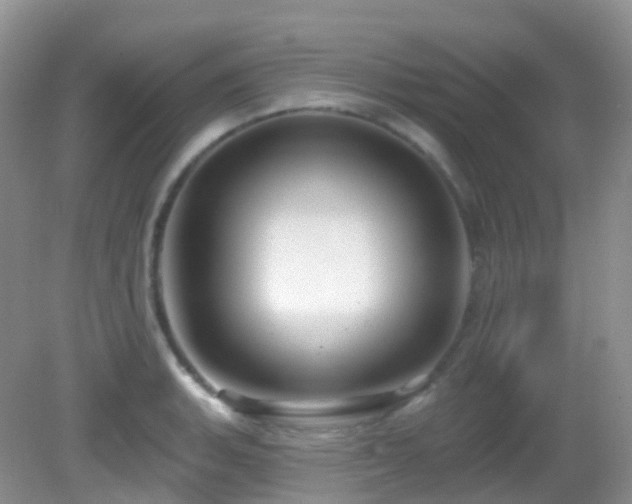 X0000083041135200702021145